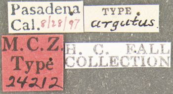 Media type: image;   Entomology 24212 Aspect: labels
